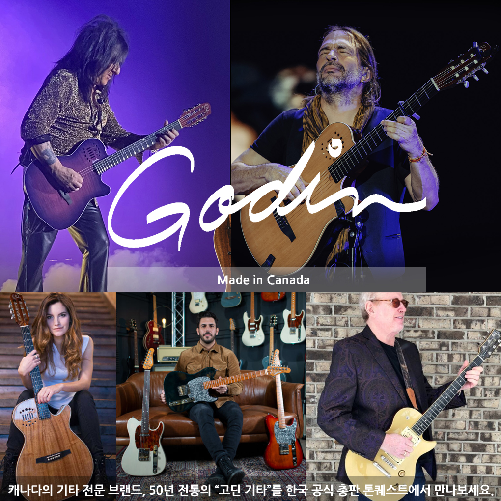 Godin-Banner-2.jpg